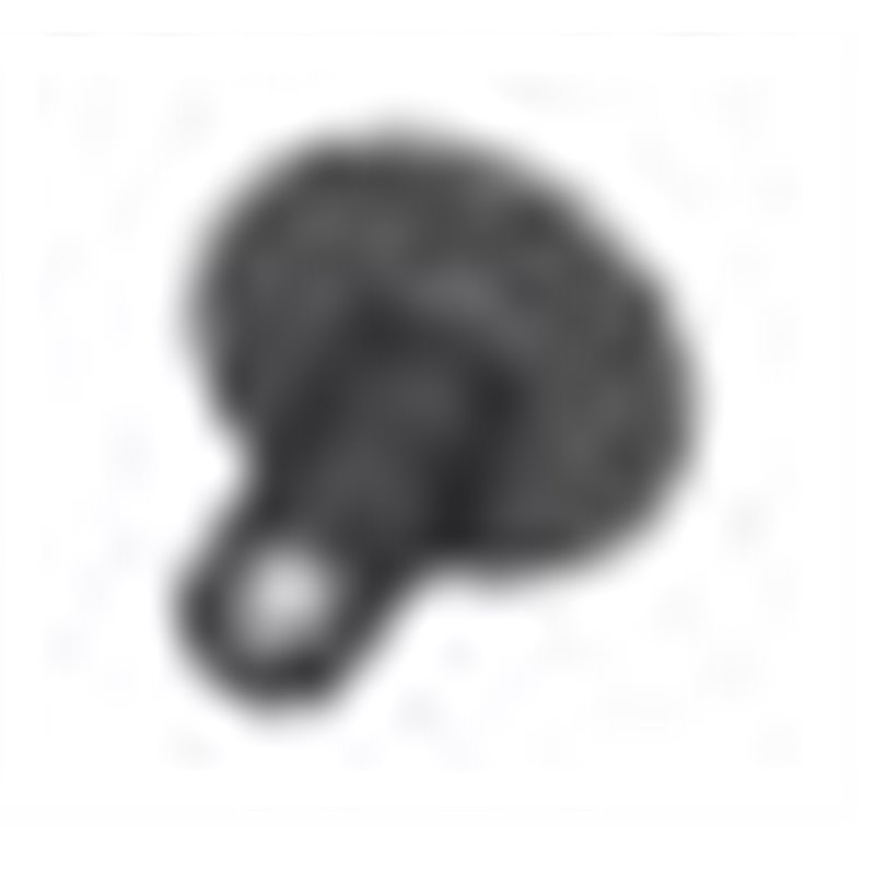 Vis Torx (M5X12) BMW Motorrad