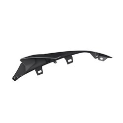 Flanc de carénage BMW supérieur droit HP en carbone S1000RR (K46)