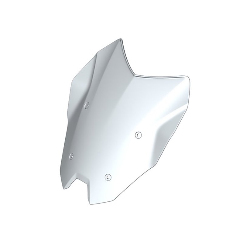 Pare-brise teinté BMW R1200RS (K54)