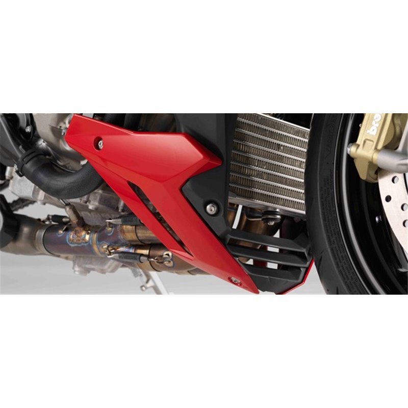 Sabot moteur côté gauche BMW Black storm metallic S1000R (K47)