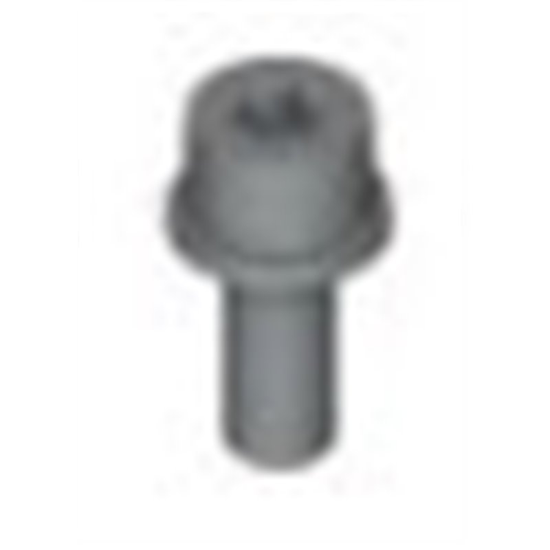 Vis de blocage Torx M5x14