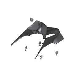 Cache HP Carbone pour support de plaque d'immatriculation - S1000XR
