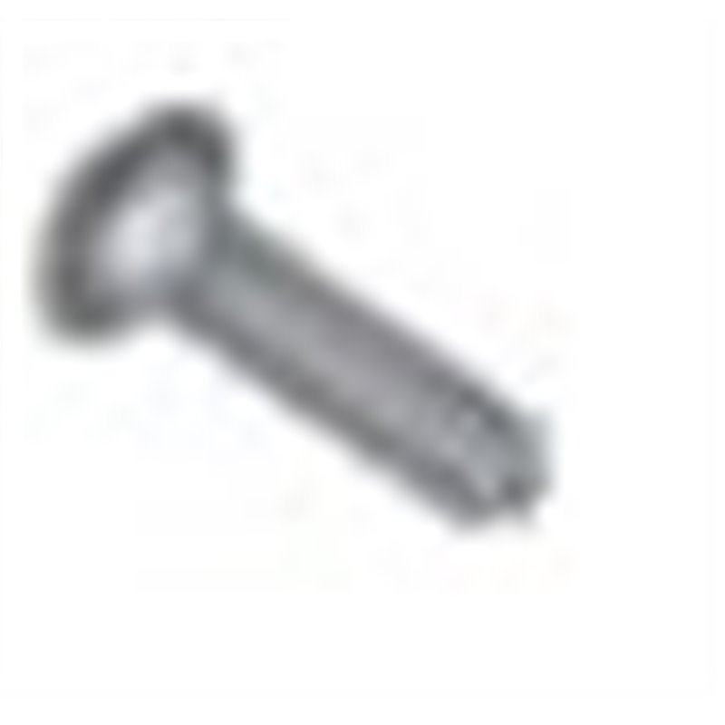 Vis à tête cylindrique bombée M5X30