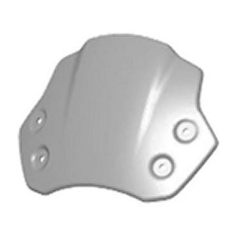 Bulle alluminium brossé a la main BMW - R nineT (K21) R nineT Pure (K22) R nineT Scrambler (K23)