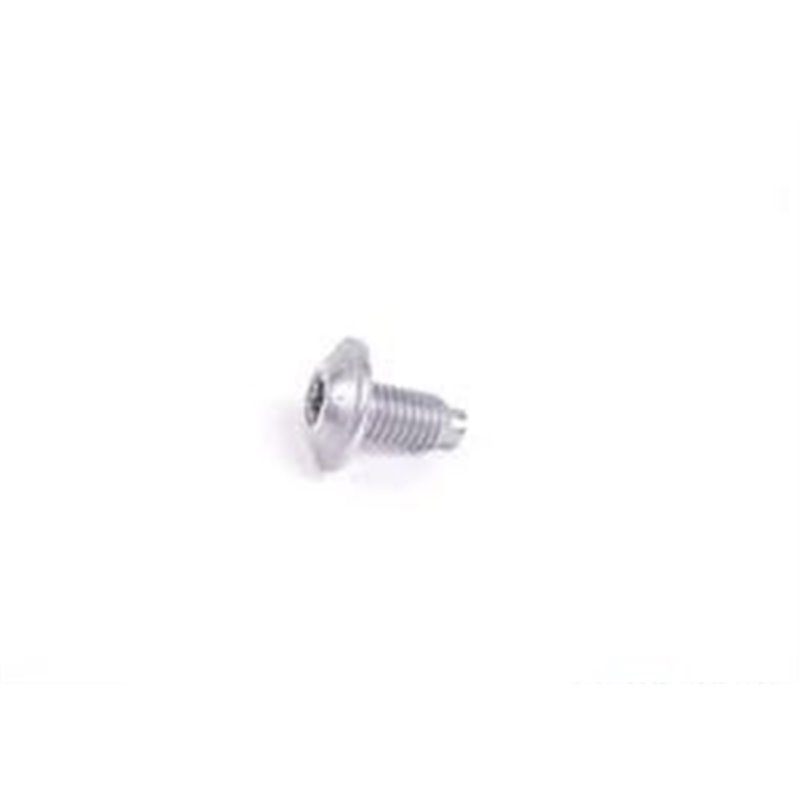Vis Torx BMW M8x16