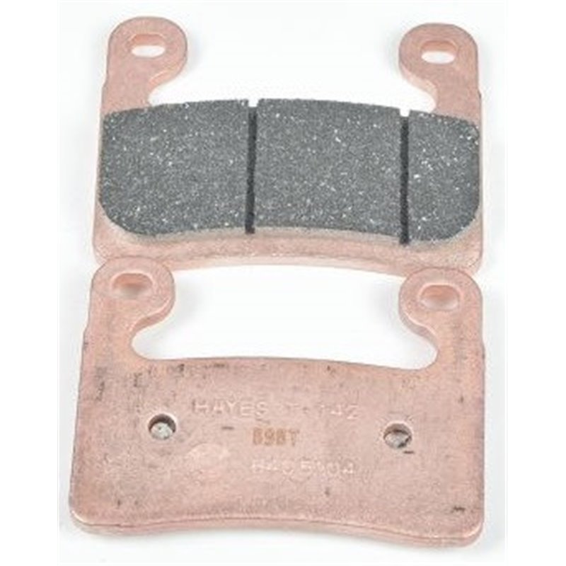 Plaquettes de frein avant pour BMW R1250GS, R1250GSA, R1250RT, S1000RR (K67)