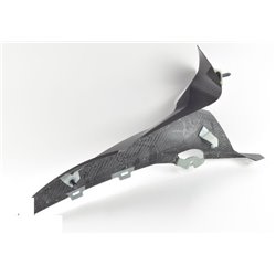 Flanc de carénage M Carbon supérieur gauche S1000 RR (K67) S1000R (K63) M1000RR (K66)