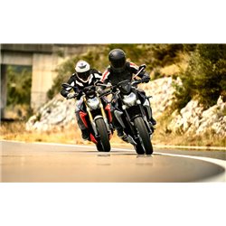 Bulle pure BMW F 900R (K83)
