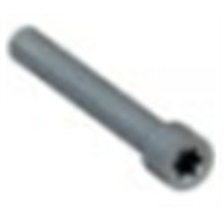 Vis M12X55