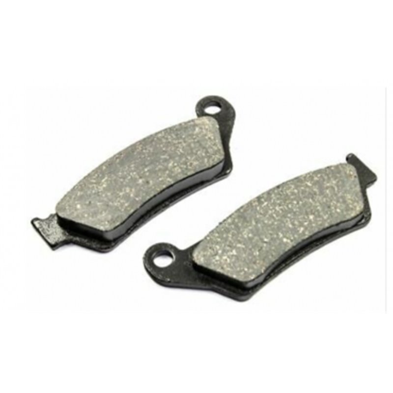 Plaquettes de frein arrière BMW - K1300S/R K1200S/R