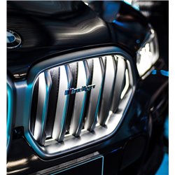 Logo Indigo - BMW